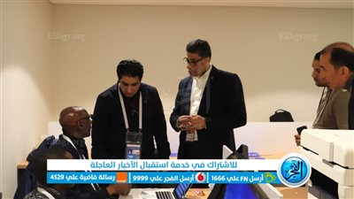 المجموعة الثانية لبطولة كأس أمم إفريقيا جاهزة لاستضافة مبارياتها بالإسماعيلية.. غدًا 