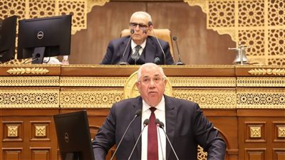 وزير الزراعة أمام الشيوخ: مصر حققت اكتفاءً ذاتيًا لـ 9 مجموعات محصولية