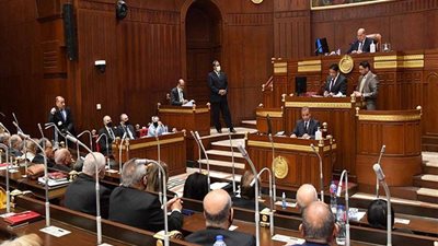 نائب بالشيوخ يطالب بتوفير الأسمدة للمزارعين والانتهاء من ملف تقنين الأراضي 