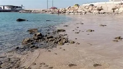 أستاذ جيولوجيا يوضح مدى خطورة انحسار مياه البحر المتوسط وعلاقته بزلزال تركيا (فيديو)