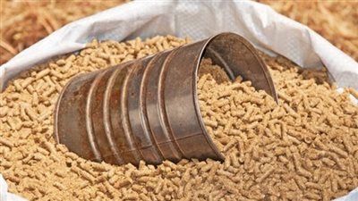  تفاصيل الإفراج عن 225 ألف طن من أعلاف الذرة والصويا 