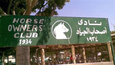 استبعاد مجلس نادي أصحاب الجياد وتشكيل لجنة لإدارة النادي بالإسكندرية