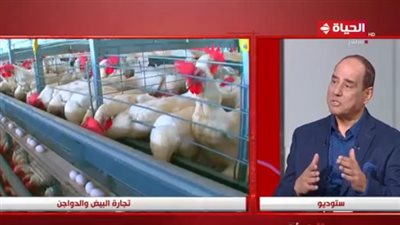  اتحاد منتجي الدواجن: مصر كانت تنتج 4.5 مليون دجاجة يوميًا