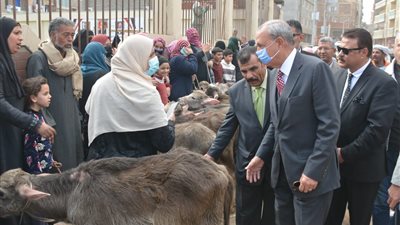 محافظ القليوبية يسلم مشروعات لـ 151 مواطنا من مستفيدي 