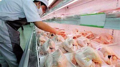  التموين: الدواجن البرازيلية المستوردة ليست جديدة ونتعامل معها منذ 20 عامًا