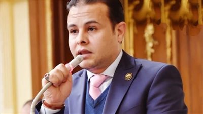 برلماني: الاستراتيجية الوطنية لمكافحة البطالة خطوة ضخمة غير مسبوقة