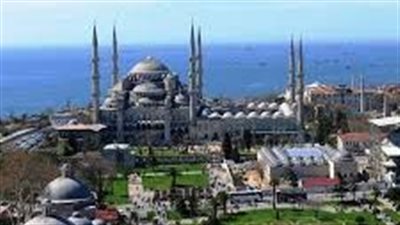 بعد مرور 16 يومًا على الزلزال فرق الانقاذ تعيد قطة إلى أصحابها