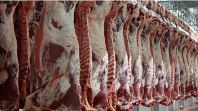 أسعار اللحوم اليوم الإثنين 27-2-2023 في محلات الجزارة والمنافذ