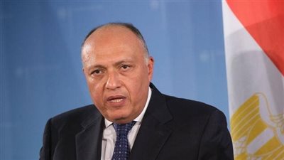 سامح شكري: مصر تعمل على تعزيز دور الجامعة العربية