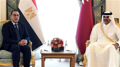 رئيس الوزراء القطري يقيم مآدبة غداء لنظيره المصري