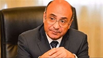 300 ألف فتوى عن الطلاق لم يقع منها إلا حالتين.. وزير العدل يكشف مفاجأة (فيديو)