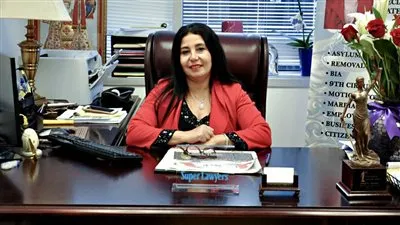 تفاصيل مشاركة سيدة مصرية في وضع 4 قوانين بأمريكا (فيديو)