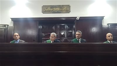 السجن المشدد 13 عاما لمعيدة جامعية عذبت نجلها بالدقهلية