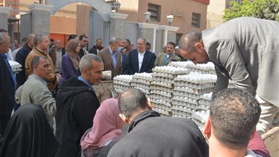 توفير بيض المائدة للمواطنين بسعر 95 جنيها بالقليوبية