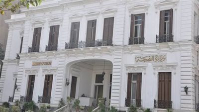 بعد إصابات الضنك.. الصحة: سببها 