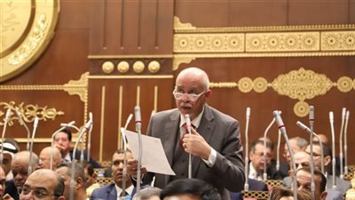 برلماني يطالب باستراتيجية لتحقيق العدالة الثقافية ونقل وتطوير قصر ثقافة طنطا