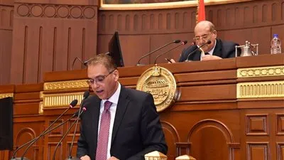 وزير المجالس النيابية: الحكومة استجابت للتقريب بين المصريين في الخليج وأوروبا