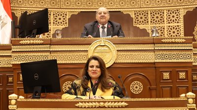  وزيرة الهجرة أمام الشيوخ: إنشاء شركة استثمارية للمصريين بالخارج