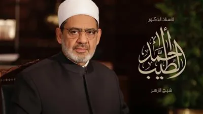 شيخ الأزهر..من يحتج بآية «وَاضْرِبُوهُنَّ» للقول بأن القرآن يوصل لضرب المرأة جاهل عريض بلغة القرآن