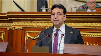 برلماني: كلمة الرئيس السيسي عكست تقدير الدولة لتضحيات أبنائها