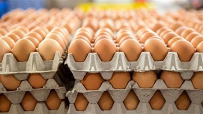 أسعار البيض في السوق المحلي اليوم الإثنين 20-3-2023