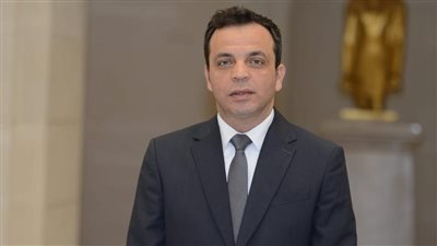 نائب: يوم الشهيد راسخ في وجدان المصريين