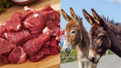 هل لحم الحمير مضر؟.. مفاجأة كبرى