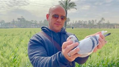 أحمد مكي يفوز بمركزين مسابقة الحمام الزاجل في الإمارات