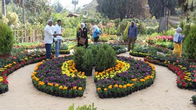 الزراعة: معرض زهور الربيع فرصة للشباب لتسويق وبيع منتجاتهم (فيديو)