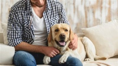 هل تربية الكلاب تمنع دخول الملائكة للمنزل.. أزهري يوضح (فيديو)