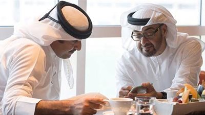 رئيس الإمارات يؤكد لـ 