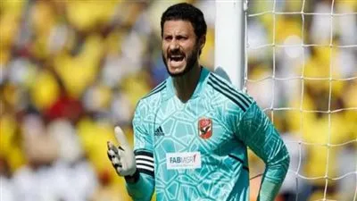 ميدو يطالب بدعم الشناوي: 