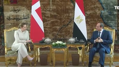 السيسي يستقبل رئيسة وزراء الدنمارك (فيديو)