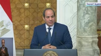 عاجل.. السيسي يكشف تفاصيل مباحثاته مع رئيسة وزراء الدنمارك بشأن سد النهضة