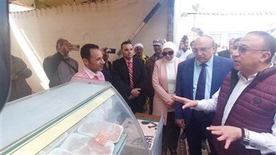 محافظ الإسكندرية يفتتح معرض 