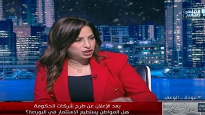 عضو بالبورصة: الاستثمار كفرد مخاطرة قليلة وصناديق الأسهم القرار الصح