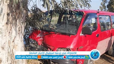 إصابة 8 أشخاص في حادث تصادم ميكروباص بشجرة بالإسماعيلية