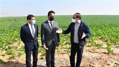 الزراعة: استصلاح الفدان يستلزم أكثر من 250 ألف جنيه (فيديو)