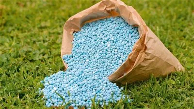  انخفاض صادرات الأسمدة المصرية 22% خلال أول 5 شهور من 2024 