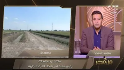 شعبة الأزر: الهدف من الاستيراد كسر احتكار بعض التجار(فيديو)