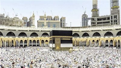 كيفية الاستعلام عن طلب الحج إلكترونيًا