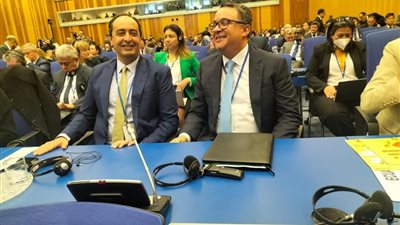 عرض تجربة مصر في تأهيل المتعافين من الإدمان بمؤتمر الأمم المتحدة 