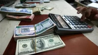 بعد طلب الحكومة تعرف على خطوات الإفصاح عن الدخل في حساب المواطن 