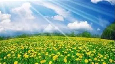 تعرف على موعد بداية فصل الربيع 