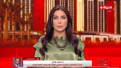 خبير: حجم الصادرات المصرية هذا العام الأكبر في التاريخ