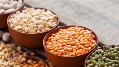 غرفة صناعة الحبوب: أسعار الفول والعدس سترتفع خلال شهر رمضان