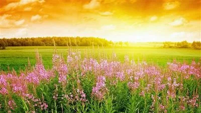 طقس الربيع 2023.. مفاجآت صادمة تنتظر المصريين