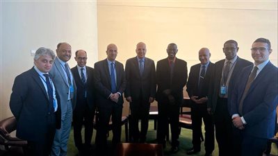 وزير الري يلتقي نظيره السودانىي لبحث سبل التعاون بين البلدين 