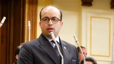 نائب التنسيقية: إضافة 3.5 مليون فدان للرقعة الزراعية ضروري لتجاوز التحديات الراهنة