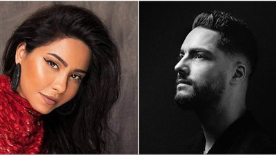 حسن الشافعي يكشف تفاصيل جديدة حول أزمة شيرين عبد الوهاب مع شقيقها